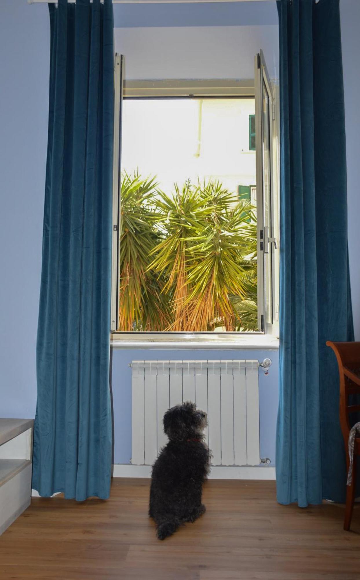 Il Regno Dei Colori Apartamento *